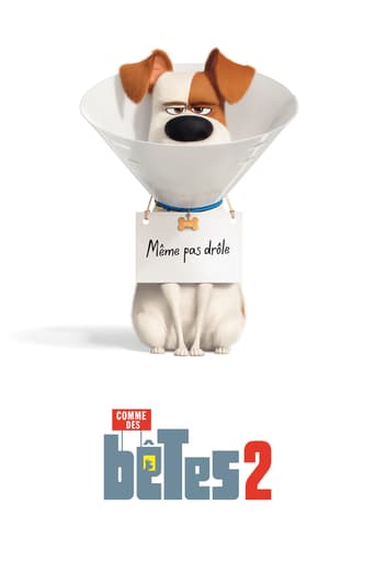 Comme des bêtes 2 (The Secret Life of Pets 2)