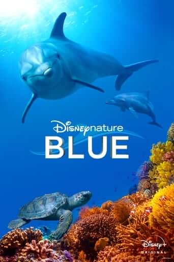 Blue (Dolphin Reef)