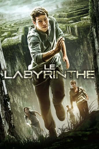 Le Labyrinthe (The Maze Runner)